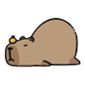 capybara