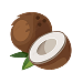 coconut